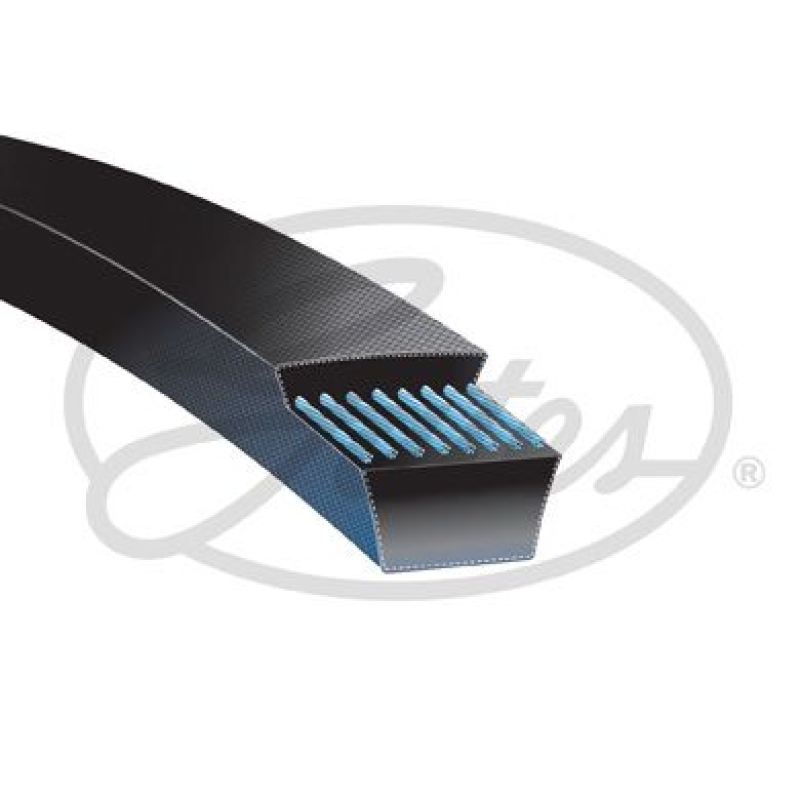 GATES V-Belt