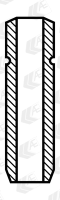 AE Ventilf&uuml;hrung