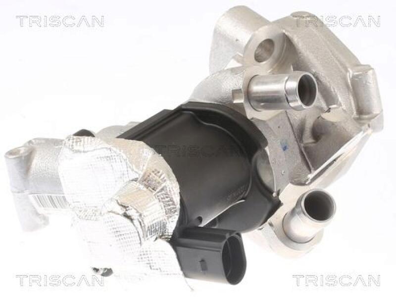TRISCAN EGR Valve