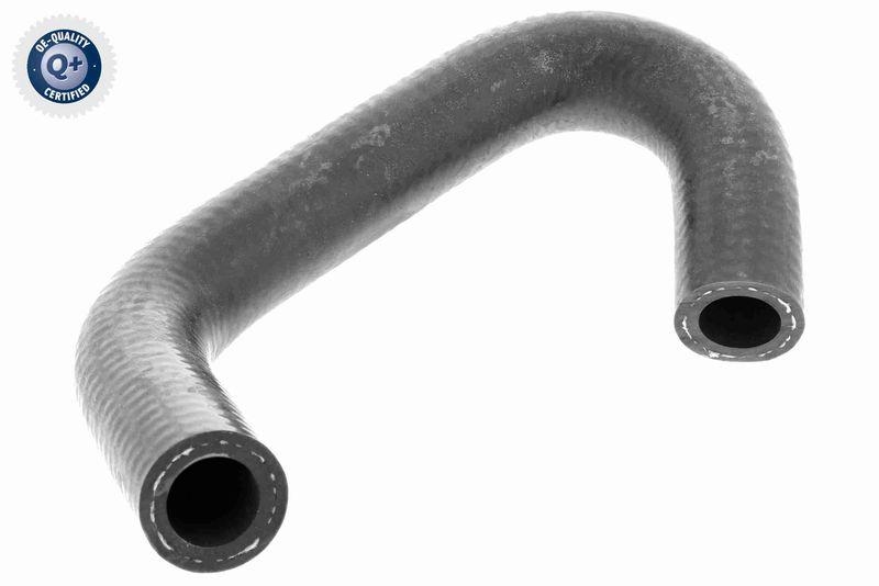 VAICO Kühlerschlauch Q+, Erstausrüsterqualität V10-9883