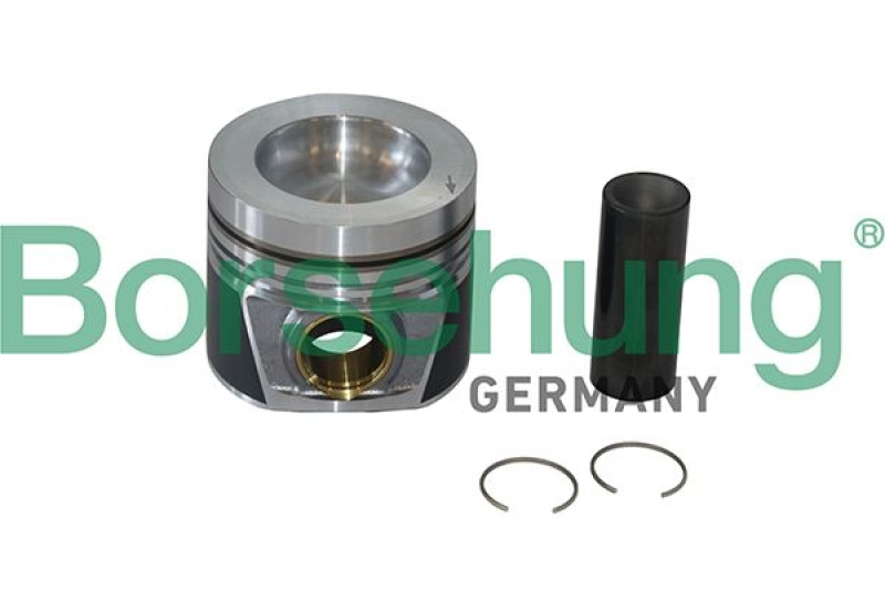 Borsehung Piston Ring Kit