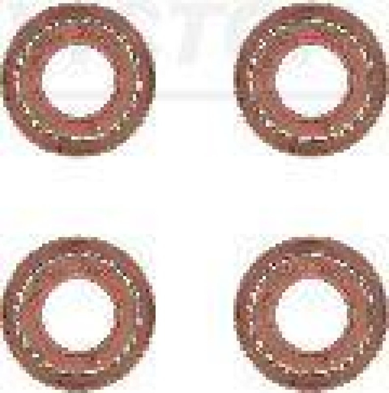 VICTOR REINZ Dichtungssatz, Ventilschaft 12-29491-05