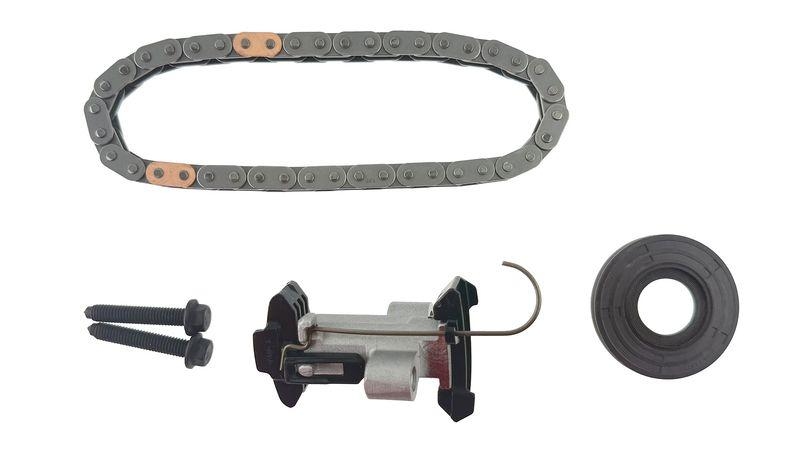 SKF Steuerkettensatz