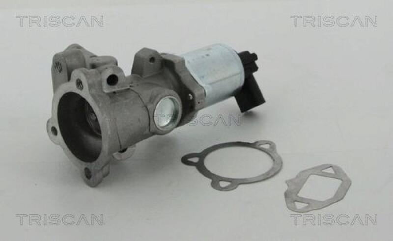 TRISCAN EGR Valve