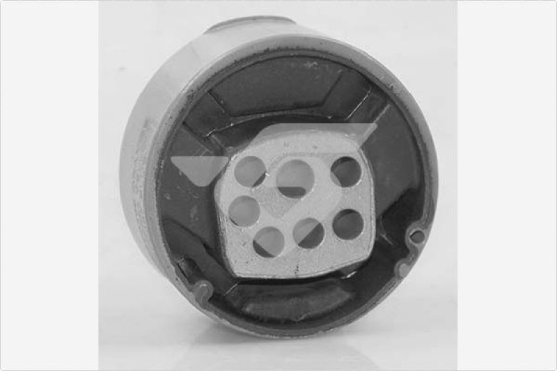HUTCHINSON Holder, engine mounting system