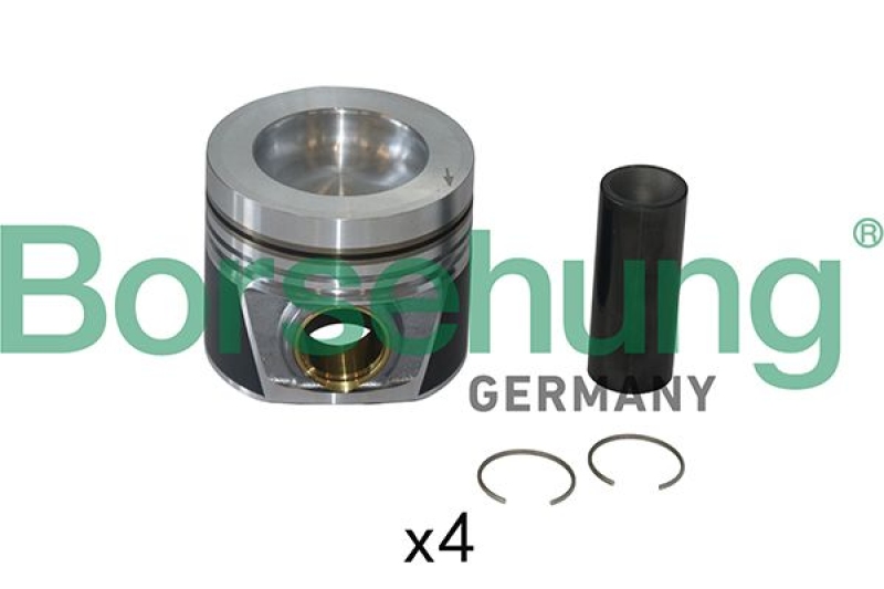 Borsehung Piston Ring Kit