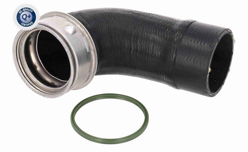 VAICO Charger Intake Hose Original VAICO Quality