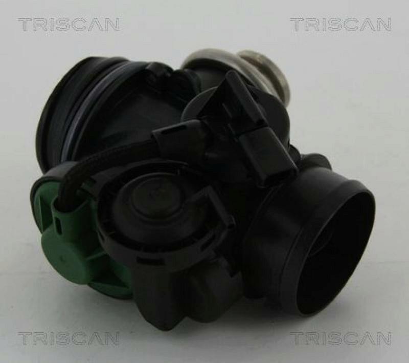 TRISCAN EGR Valve