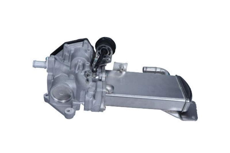 MAXGEAR EGR Module