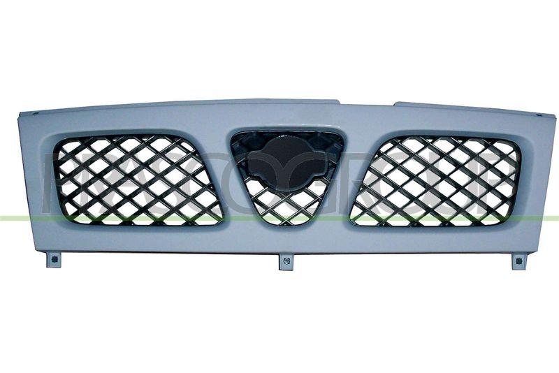 Radiator Grille