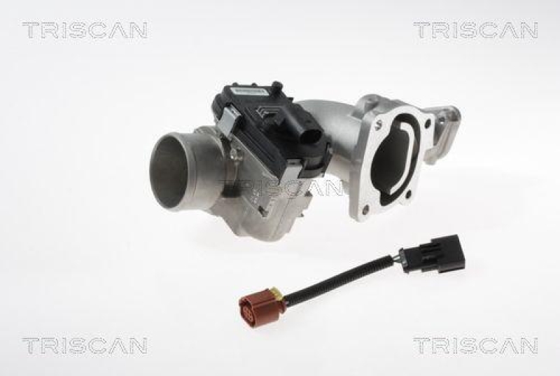 TRISCAN EGR Valve