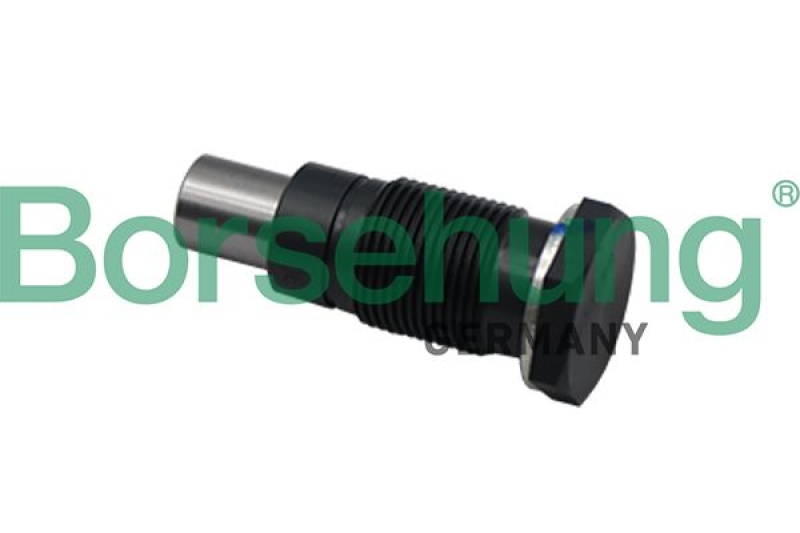 Borsehung Timing Chain Kit