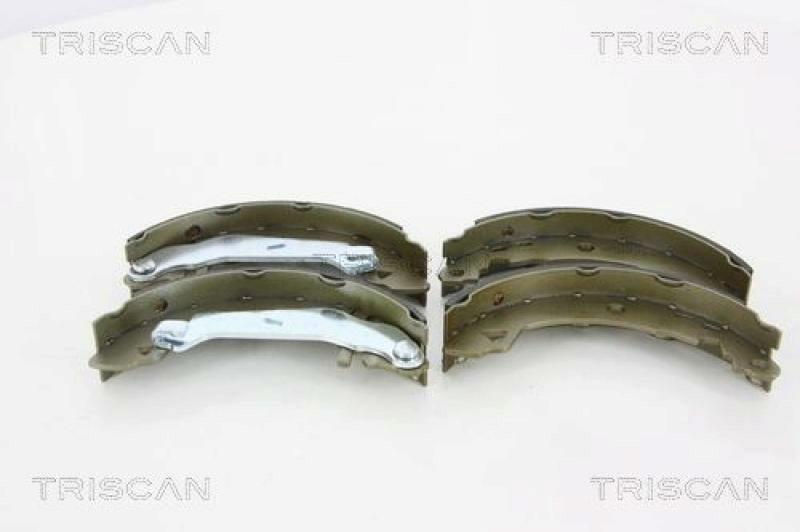 TRISCAN Bremsbackensatz 8100 10021