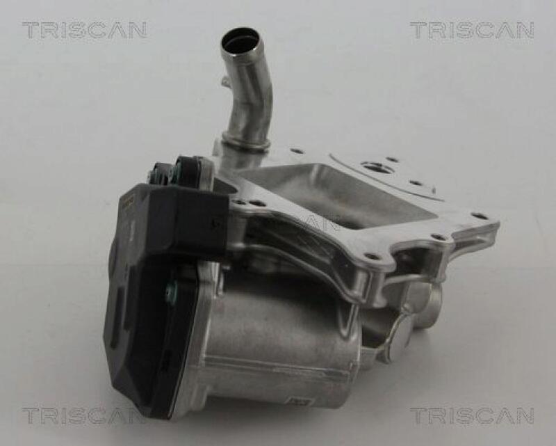 TRISCAN EGR Valve