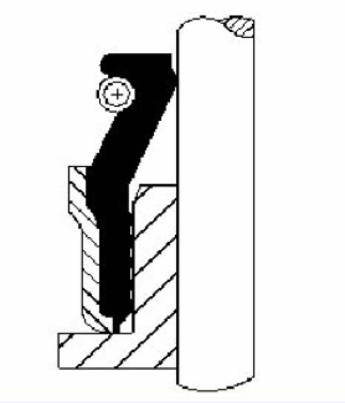 CORTECO Dichtungssatz, Ventilschaft