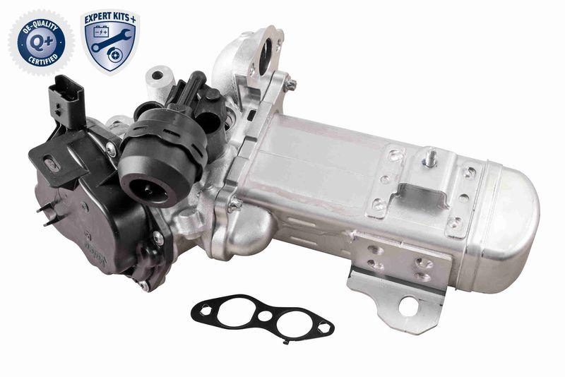 VEMO EGR Valve EXPERT KITS +