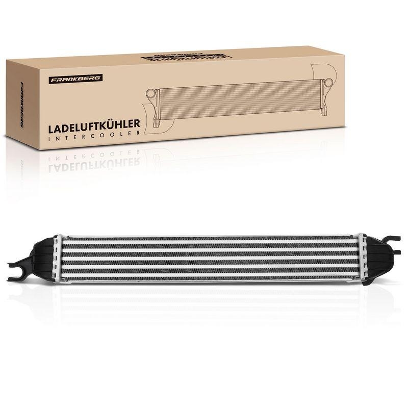 1x Frankberg Ladeluftk&uuml;hler Turbok&uuml;hler 5481FB0015551