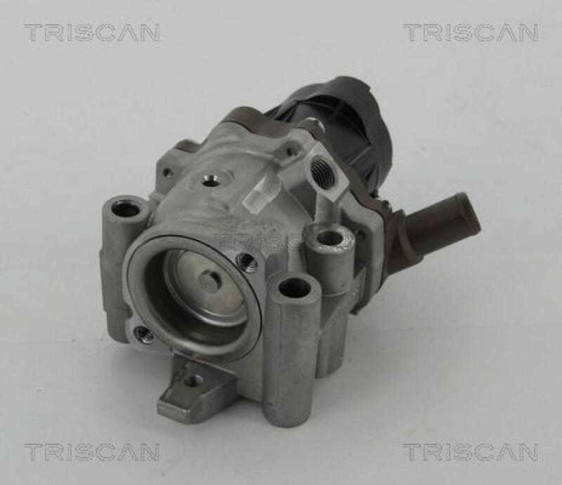 TRISCAN AGR-Ventil 8813 15208