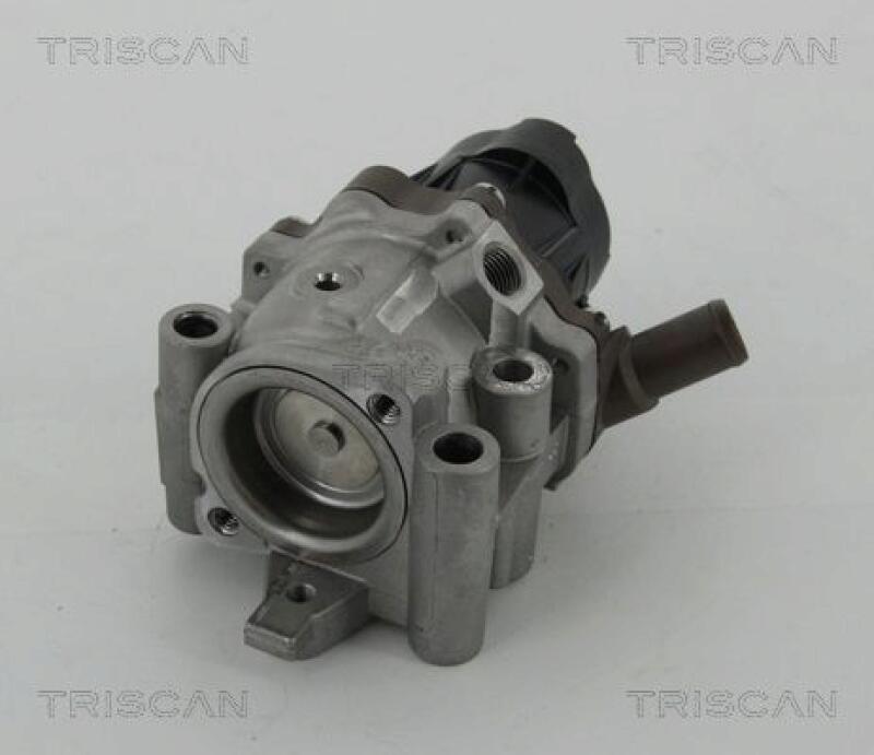 TRISCAN EGR Valve