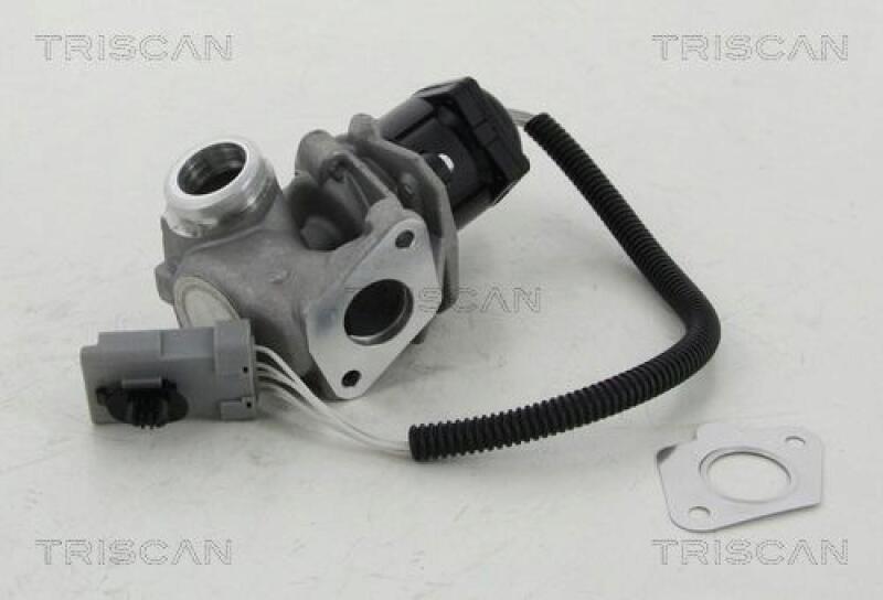 TRISCAN EGR Valve