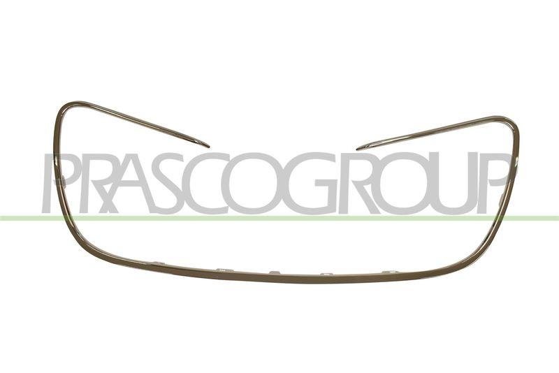 Radiator Grille