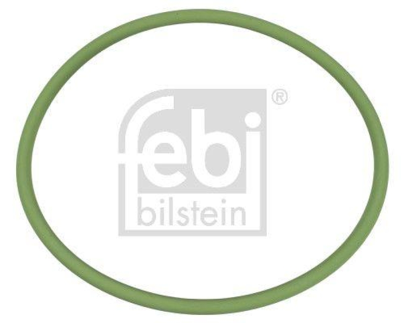 FEBI BILSTEIN Dichtung, Kraftstoffpumpe 174461