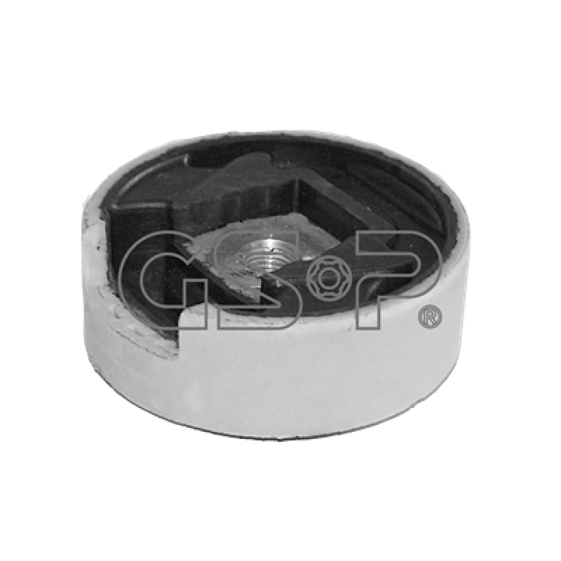 GSP Lagerung, Motor 516544