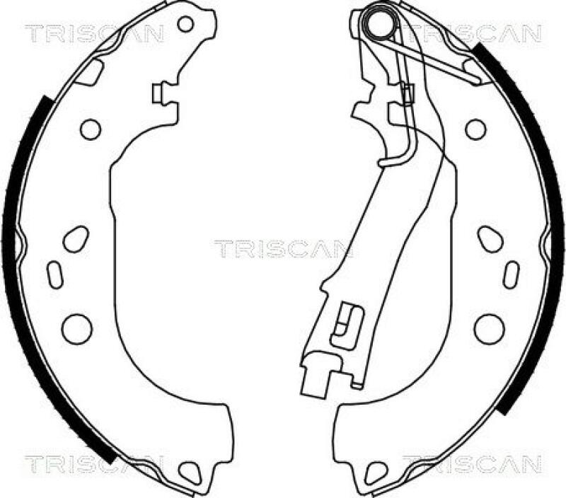 TRISCAN Brake Shoe Set