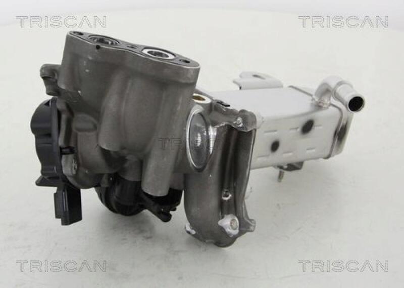 TRISCAN EGR Valve