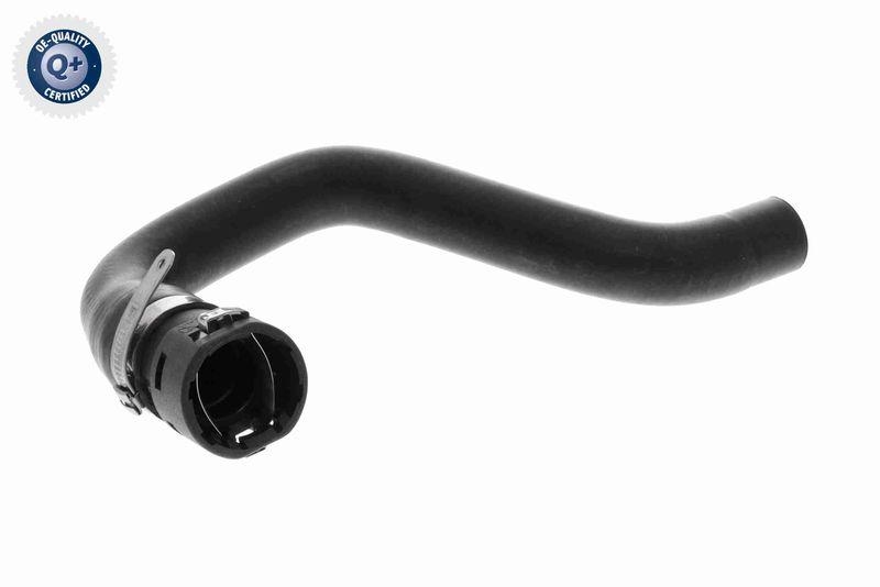 VAICO K&uuml;hlerschlauch Q+, Erstausr&uuml;sterqualit&auml;t V24-1184