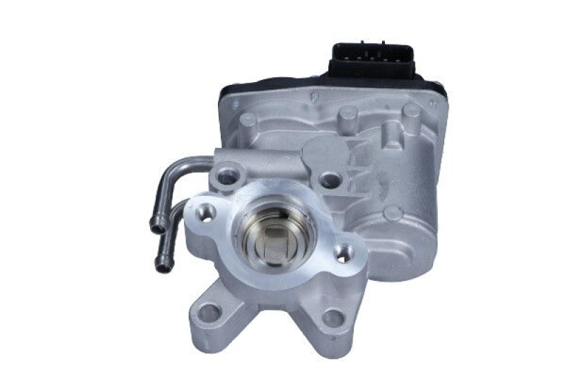 MAXGEAR AGR-Ventil 27-4069
