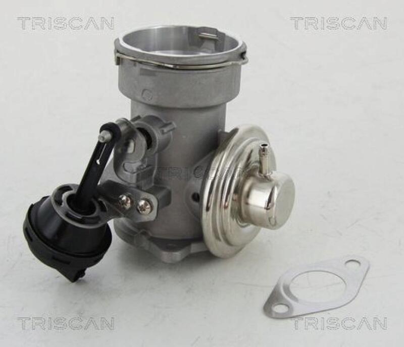 TRISCAN EGR Valve
