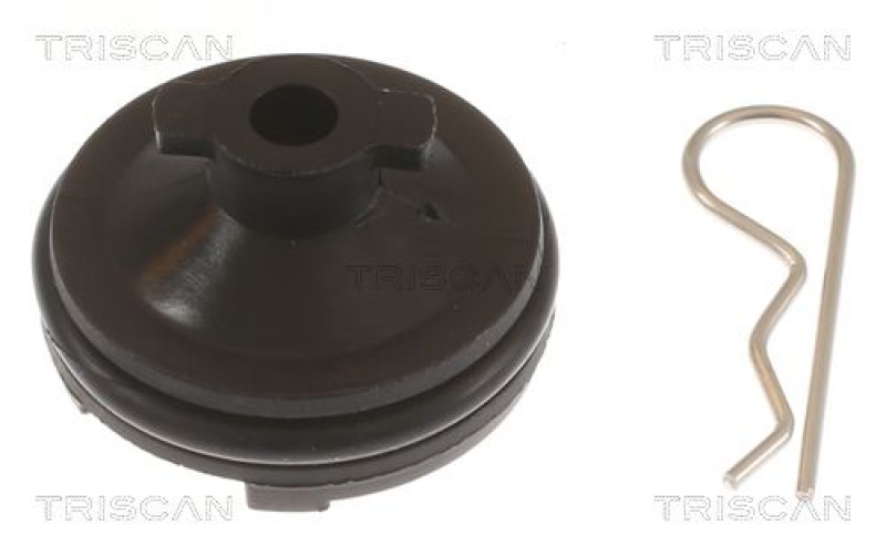 TRISCAN Screw Plug, oil sump