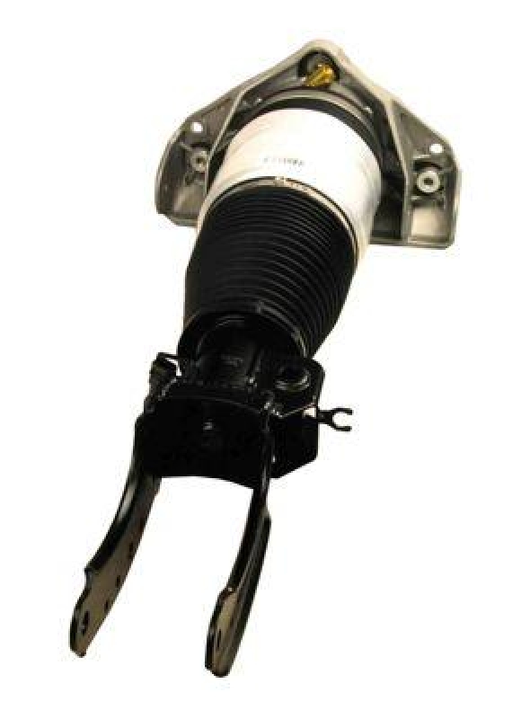 MAXGEAR Air Spring Strut