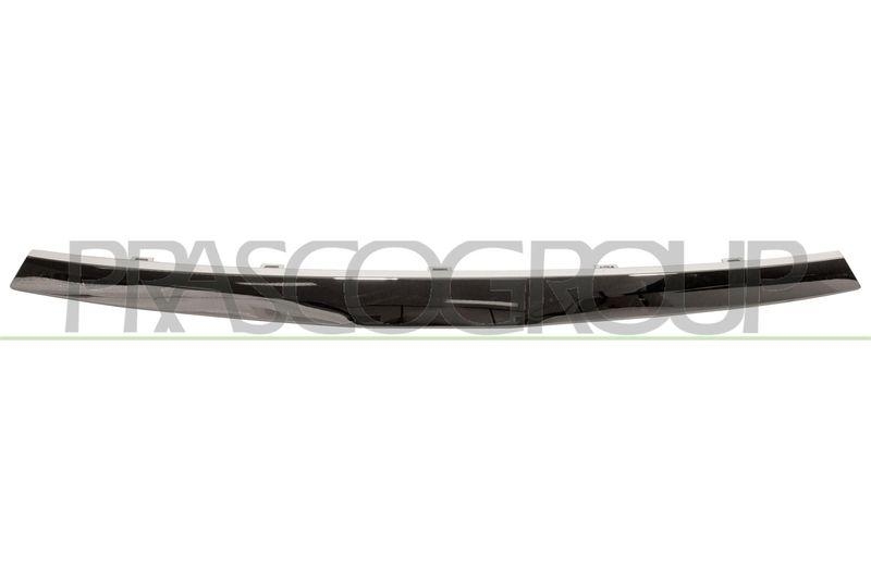 Trim/Protective Strip Set, radiator grille