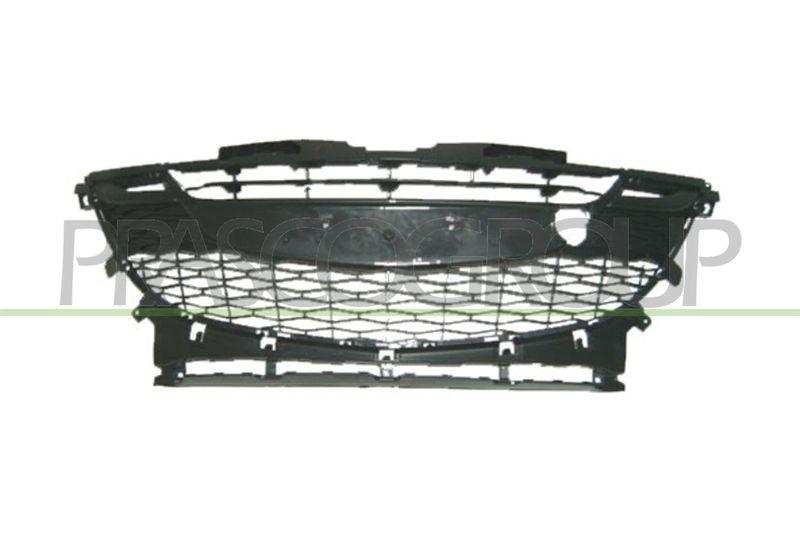 PRASCO L&uuml;ftungsgitter, Sto&szlig;f&auml;nger