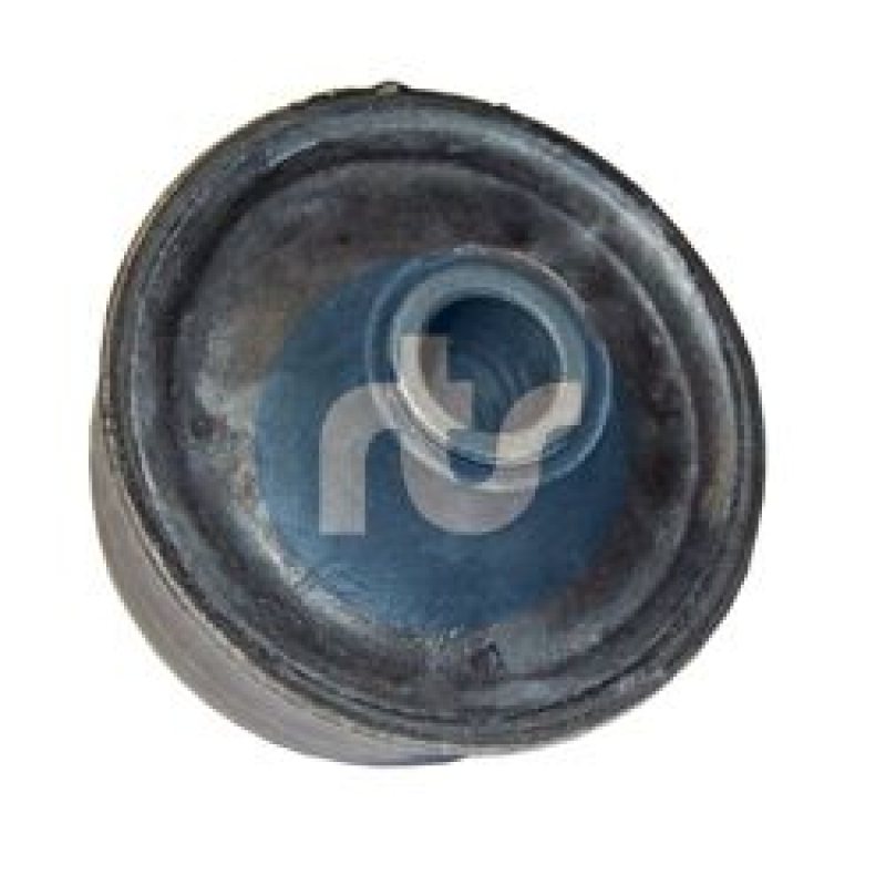 RTS Mounting, control/trailing arm