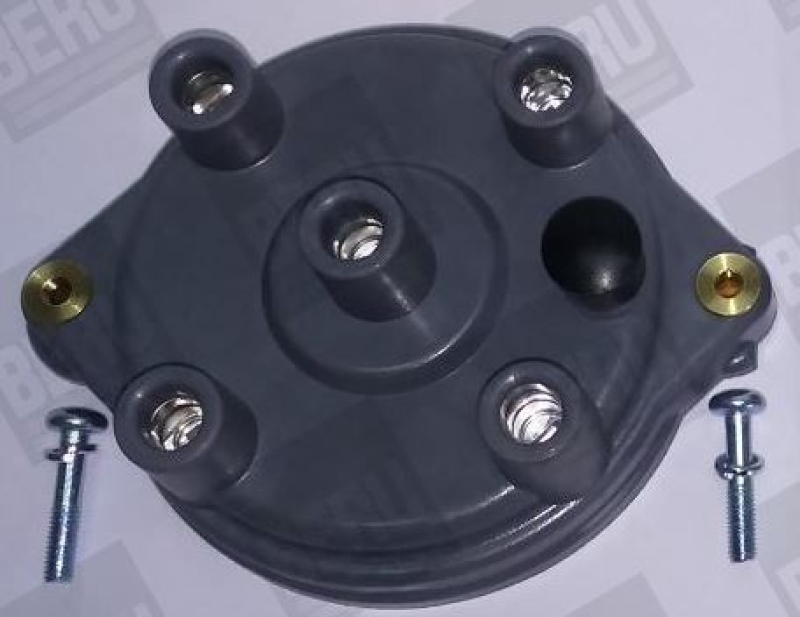 BERU by DRiV Distributor Cap