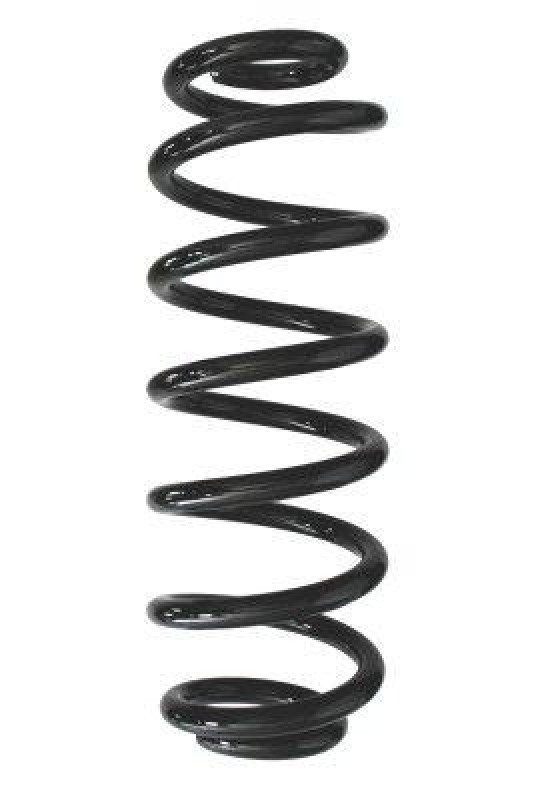 SPIDAN Suspension Spring