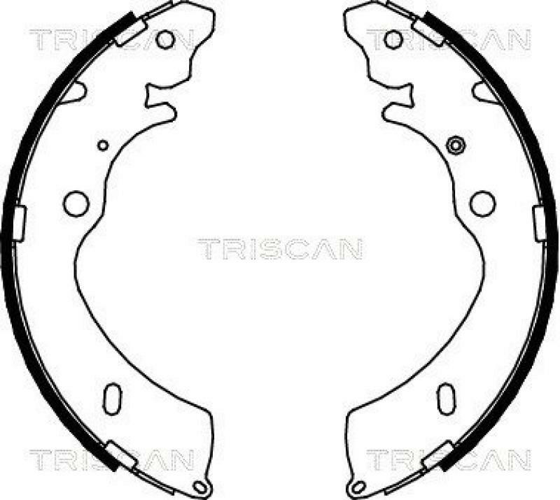 TRISCAN Brake Shoe Set