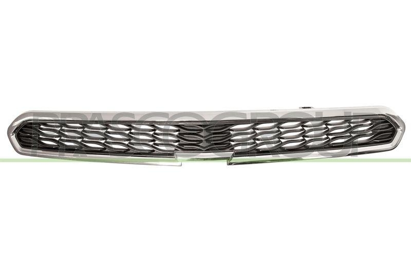 Radiator Grille