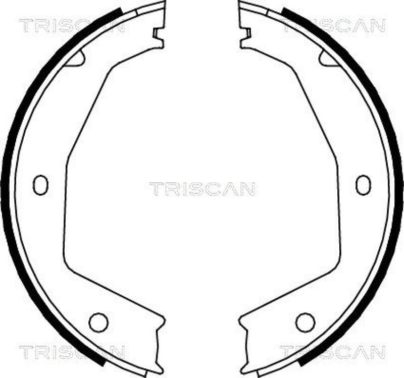 TRISCAN Brake Shoe Set, parking brake