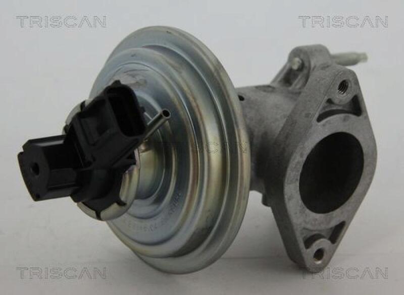 TRISCAN AGR-Ventil 8813 16043