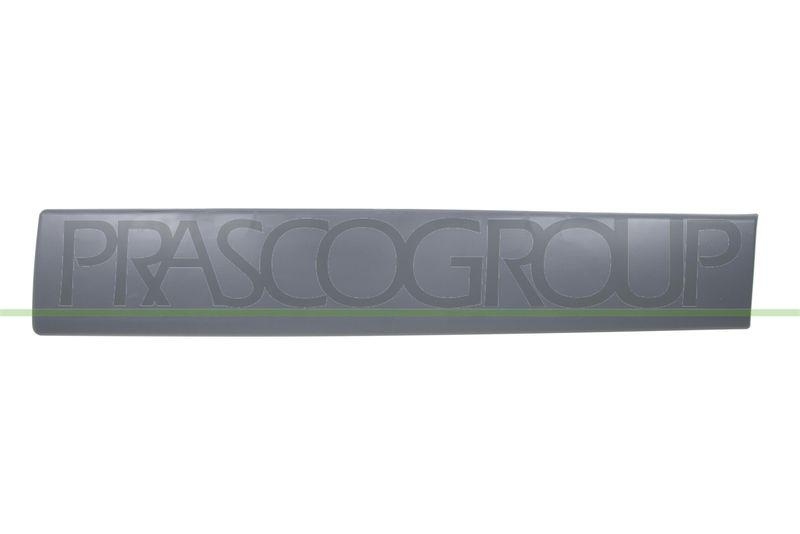 PRASCO Zier-/Schutzleiste, Tür
