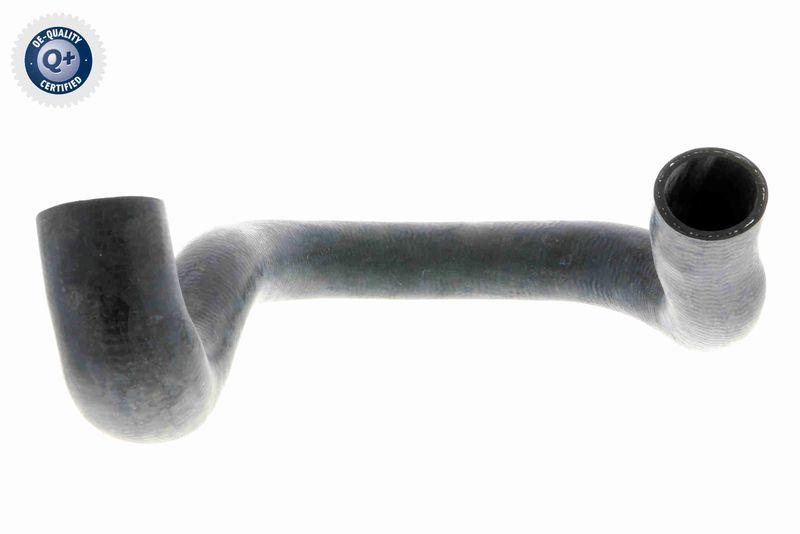 VAICO K&uuml;hlerschlauch Q+, Erstausr&uuml;sterqualit&auml;t V20-0140