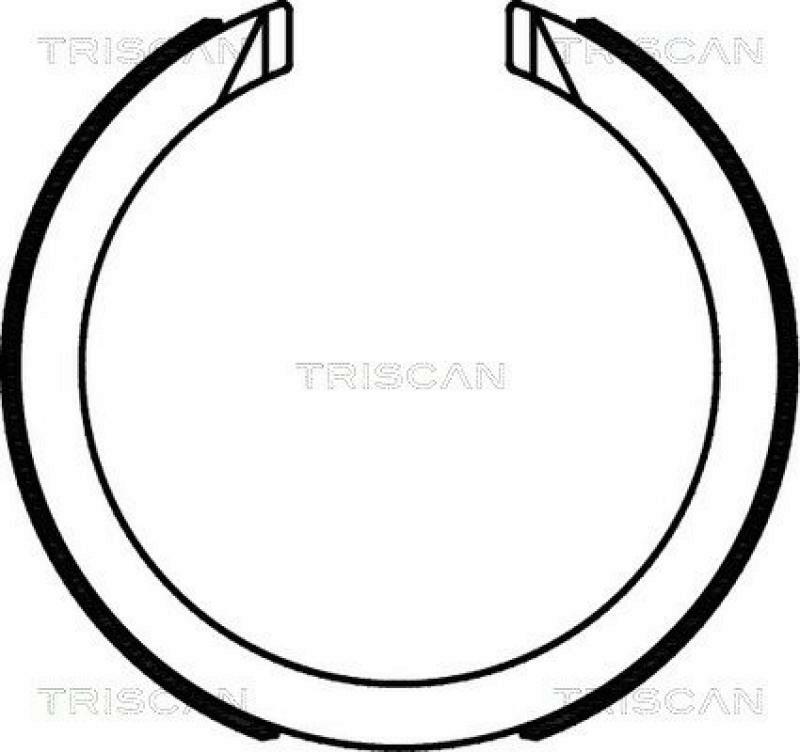 TRISCAN Brake Shoe Set, parking brake