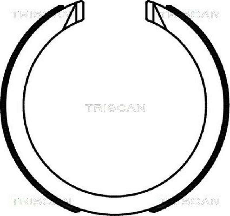 TRISCAN Brake Shoe Set, parking brake