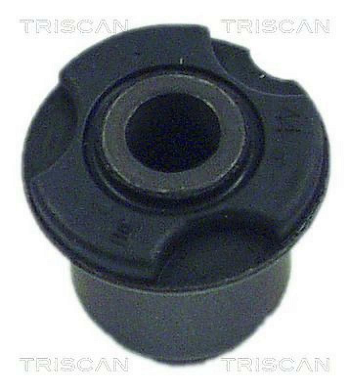 TRISCAN Mounting, axle beam