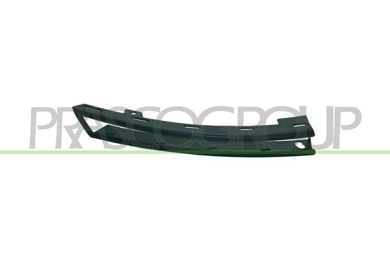 Trim/Protective Strip, bumper Premium