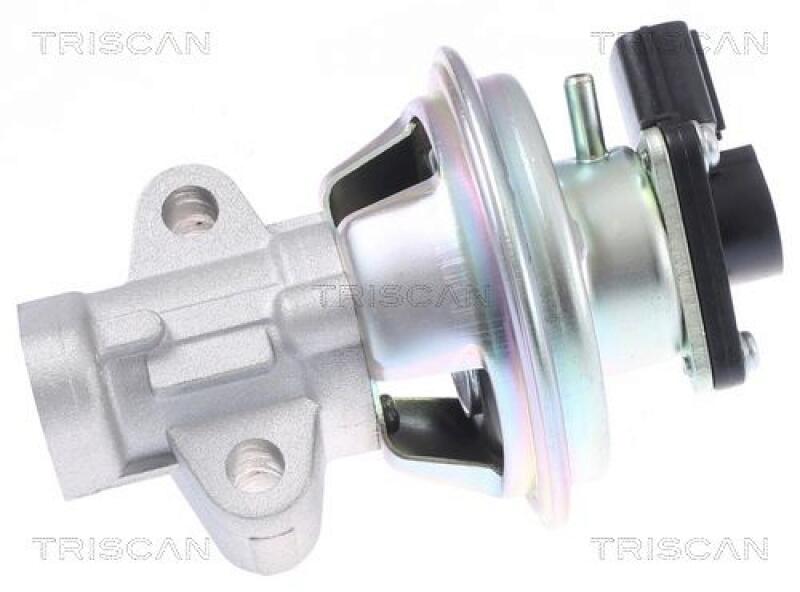TRISCAN AGR-Ventil 8813 16069
